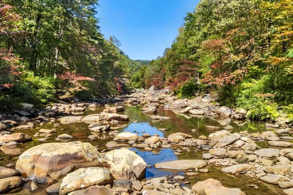 North Chickamauga Creekside Retreat · 3BR Escape!